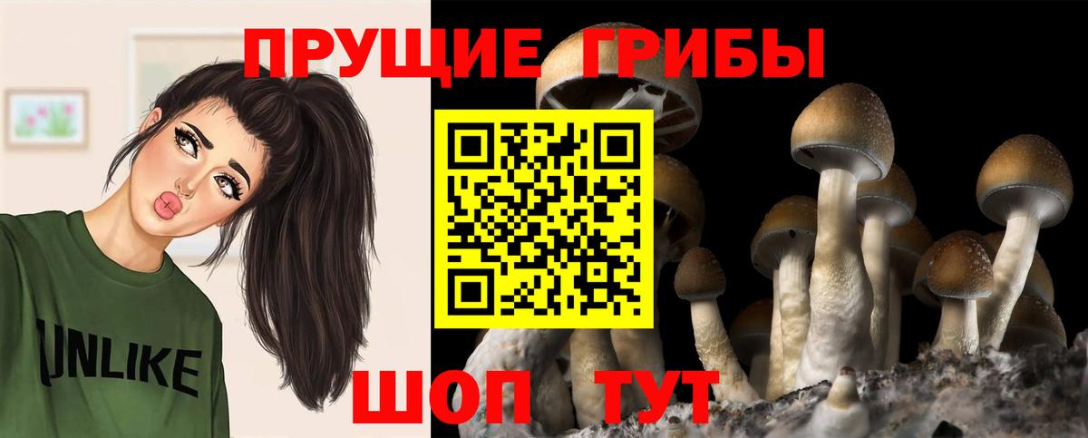 Узловая  Галлюциногенные грибы мухоморы  Псилоцибиновые грибы Cubensis  Вход с VPN 